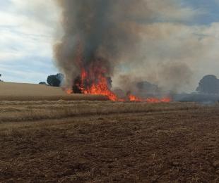 autorización para prevenir incendios forestales en castilla la mancha trabajos agricolas.jpg