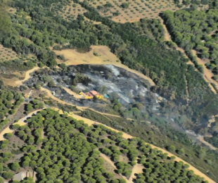 Incendio Forestal Interfaz Urbano Forestal