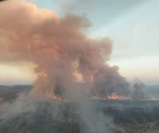 Incendio Forestal CLM 2024