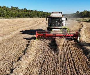 cosecha limitaciones