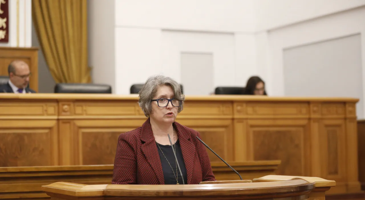 Mercedes Gómez, Consejera Desarrollo Sostenible, en la comparecencia de IIFF en las Cortes