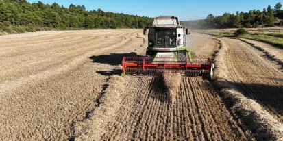 cosecha limitaciones